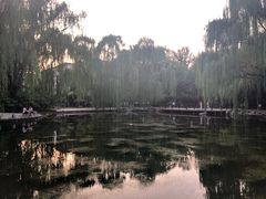 -玲珑塔公园