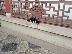 -檀园