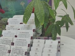 -雅悦齿科(顾村公园店)