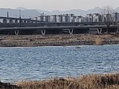 -绿堤公园