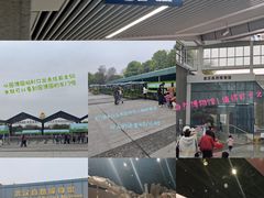 -武汉园博园(武汉自然博物馆)