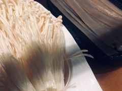 -杨家火锅(国美店)