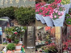 -金陵花卉交易市场