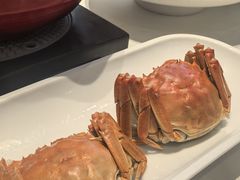 河蟹-珊海荟海鲜楼·天津菜·海肠捞饭·皮皮虾锅贴王(佛罗伦萨店)