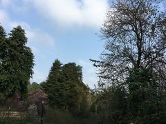 -重庆彩云湖湿地公园