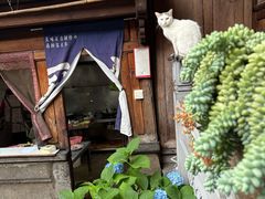 -龙姐私房菜(和顺古镇店)