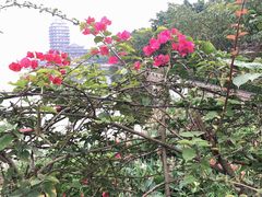 -眉山湿地公园(东坡区)