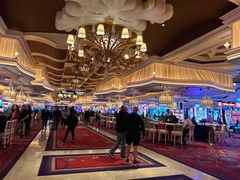 -拉斯维加斯永利酒店