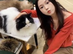 -安格丽娜·狗咖·猫咖羊驼咖(春熙路百盛商场店)