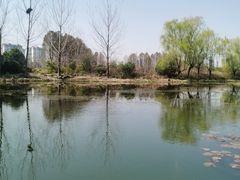 -澹台湖公园