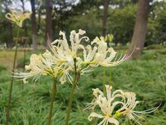 -白塘生态植物园