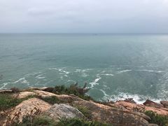 -广东惠东海龟国家级自然保护区