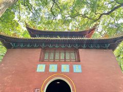 -普陀山风景名胜区-法雨禅寺