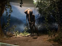 -重庆中国三峡博物馆(重庆博物馆)