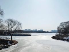 -大兴滨河森林公园