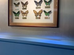 -上海昆虫博物馆