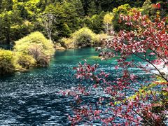 -九寨沟-树正沟