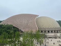 -牛首山文化旅游区