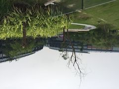 滴水湖皇冠假日酒店-上海滴水湖皇冠假日酒店