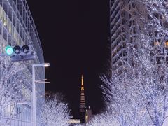 -六本木新城展望台(东京城市景观)