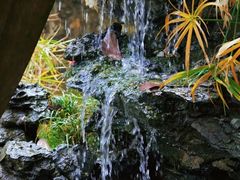 -广州白江湖森林公园
