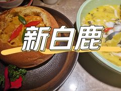 -新白鹿餐厅(金鹰新街口店)