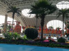 -天山海世界·米立方