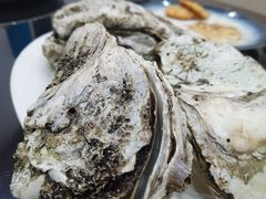 桑拿蚝-蚝专家(北滘店)