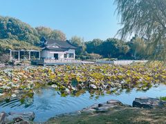 -范蠡湖公园