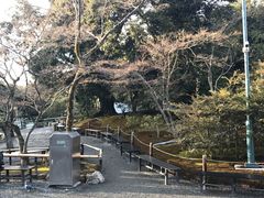 -豆政(金閣寺境内売店)