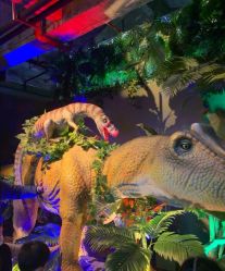 -恐龙探索乐园(磁器口店)