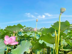 -东山风景区(洞庭东山)