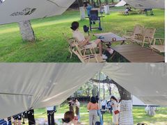 -秀丽东方
