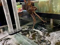 -蟹之国·精品蟹料理(极地店)