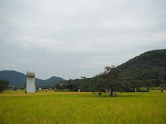 -艾米稻香小镇