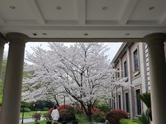 -上海瑞金洲际酒店