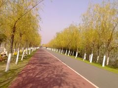 -艾溪湖湿地公园