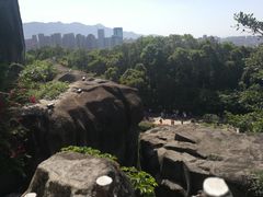 -金鸡山公园