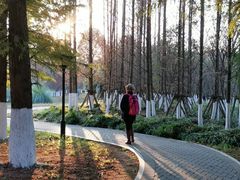 -贵阳市花溪国家城市湿地公园