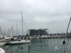-海豚湾扬帆出海帆船游艇
