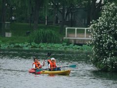 -新江湾城公园