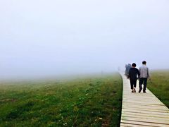 -芦芽山旅游度假区