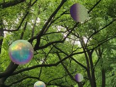 -上海共青森林公园