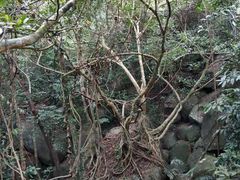 -七仙岭温泉国家森林公园