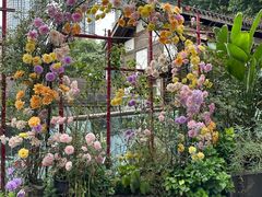 -重庆十八梯传统风貌区