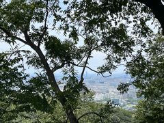 -灵顺寺