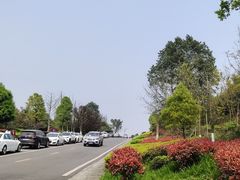 -铁山坪森林公园