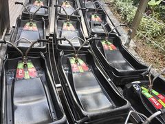 -圣淘沙天际线斜坡滑车