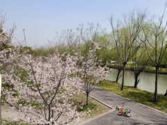 -广富林郊野公园