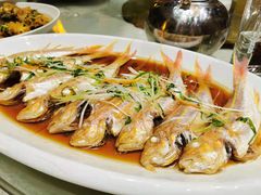 -森谷美食公园(杨行店)